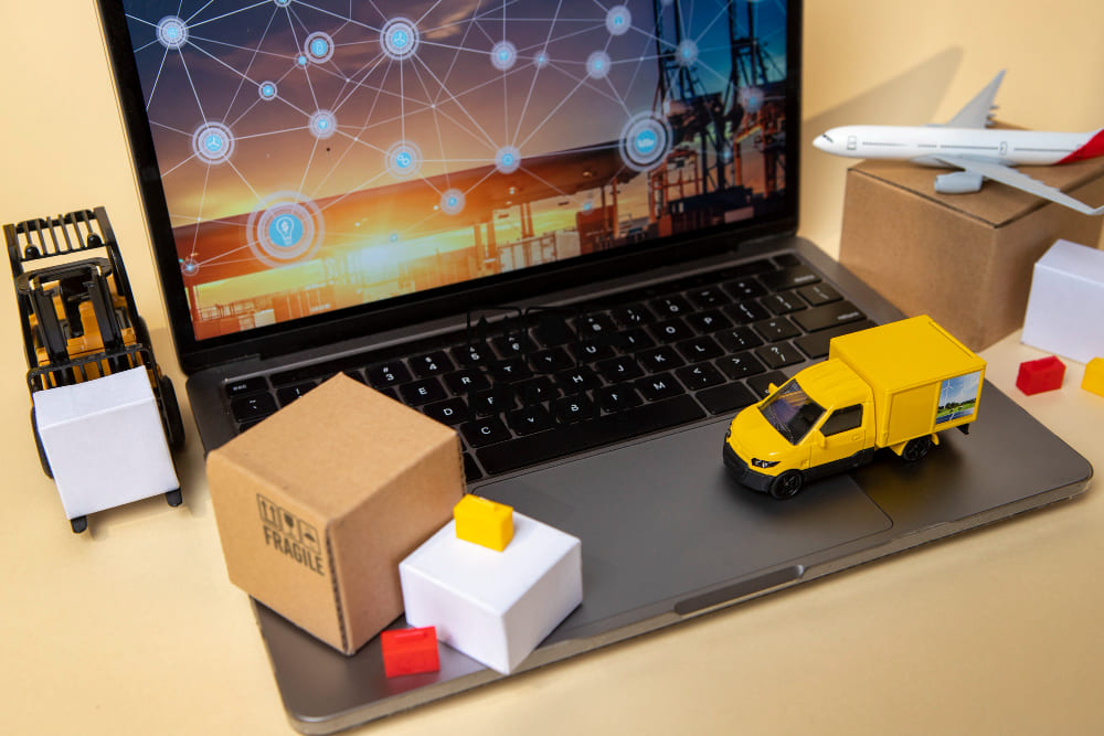 Project Division &
                        Import/Export